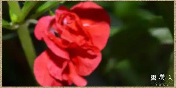 赵丽颖迪丽热巴同款古装造型,范冰冰杨幂迪丽热巴