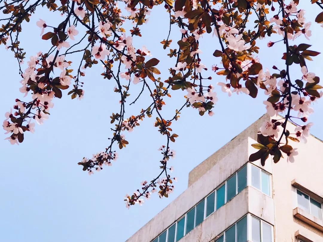 上海交大学生是怎么过假期的,上海交大寒假放假时间2021-2022