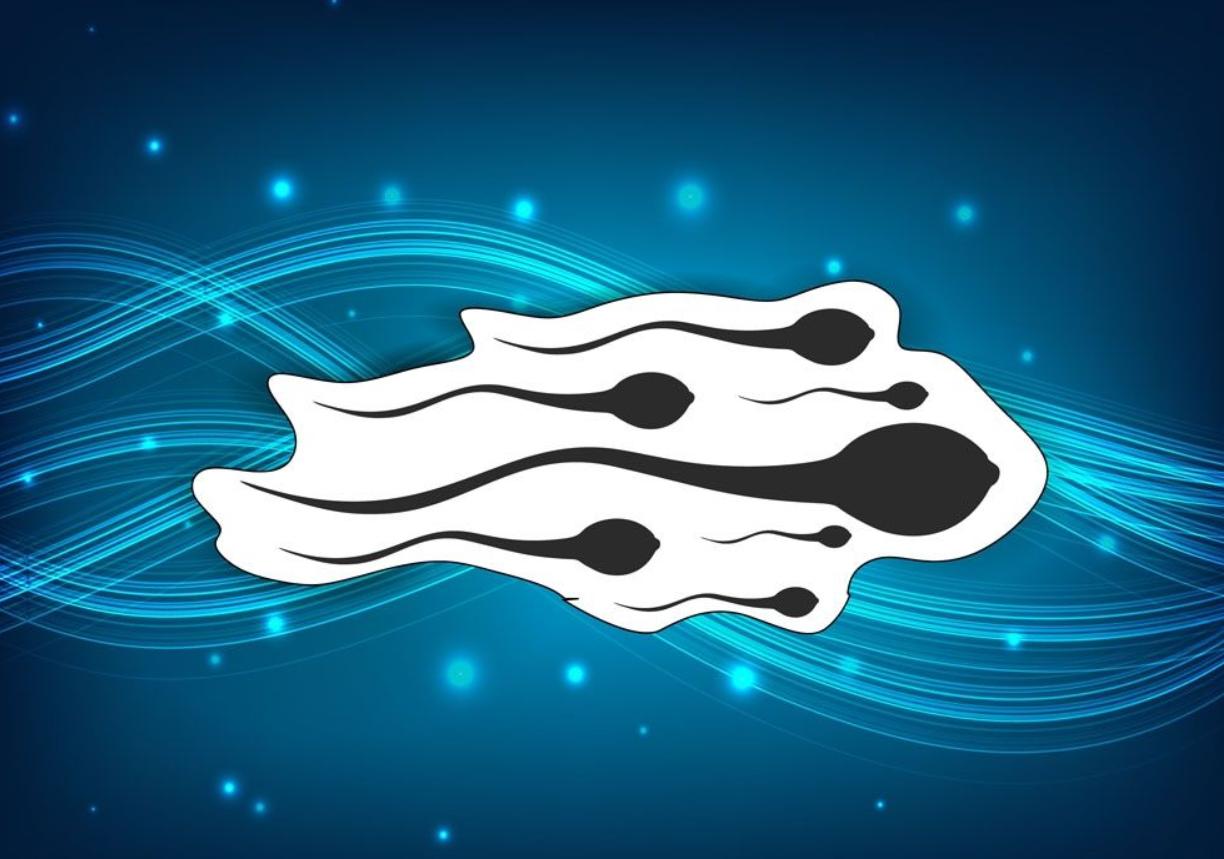 没能和卵子结合的精子，都跑哪儿去了？或许比你想象得更“惨烈”