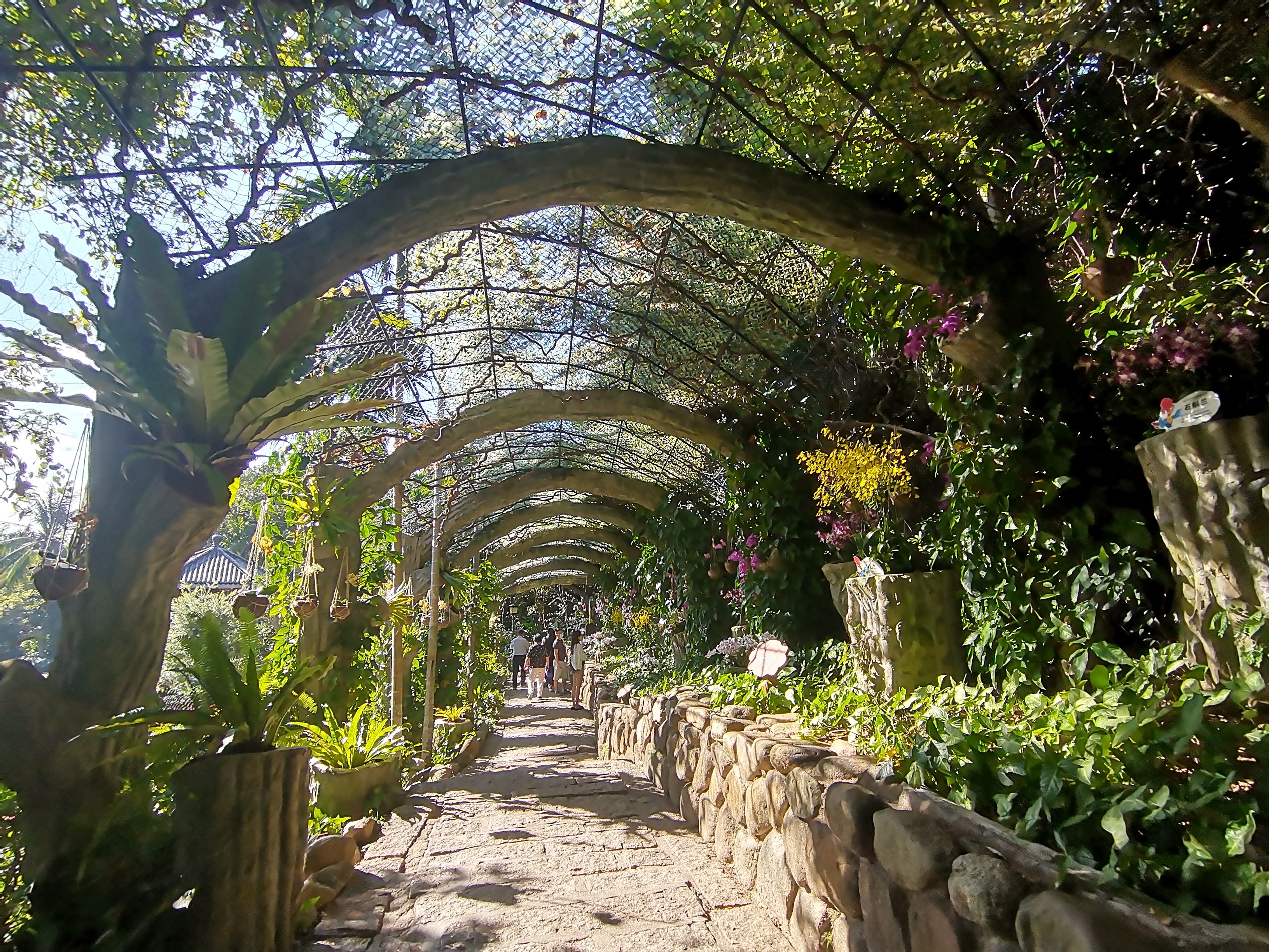 去了海南三亚,去完三亚热带森林公园可以逛哪里