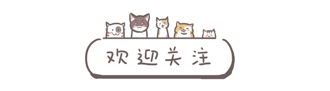 巴黎欧莱雅适合混油皮的粉底液,混油皮阿玛尼无痕持妆粉底液评测