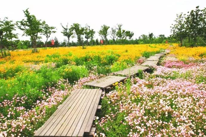 这才是上海最好的牛肉面,近期上海最牛的区