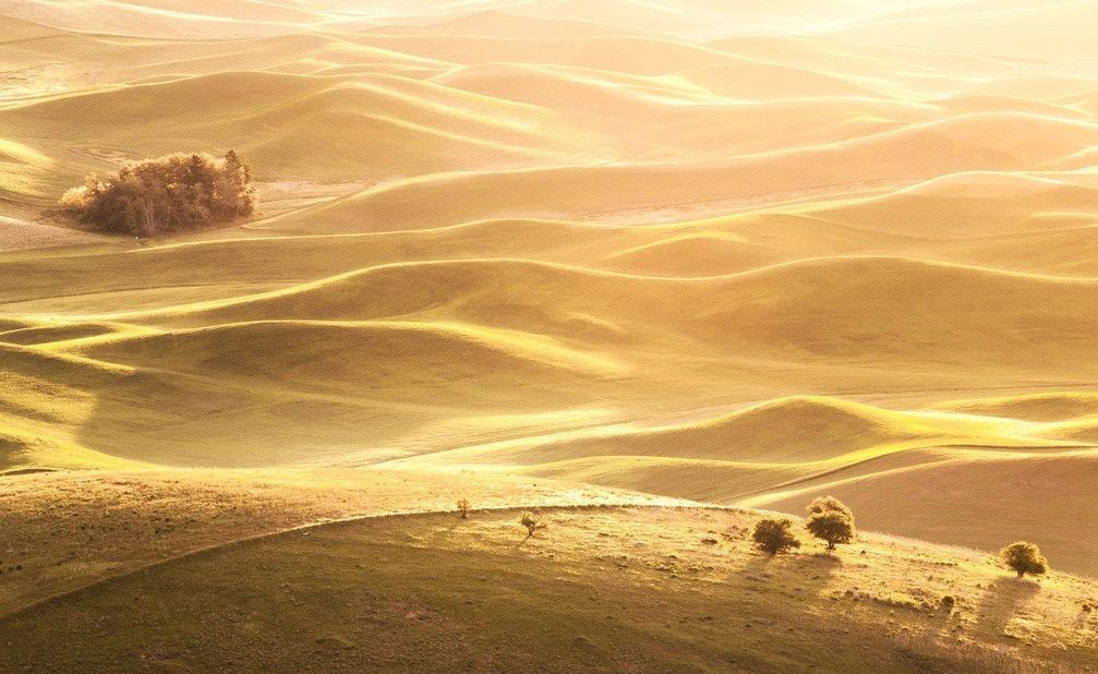 诗经卉木萋萋,卉木萋萋仓庚喈喈采蘩祁祁读音