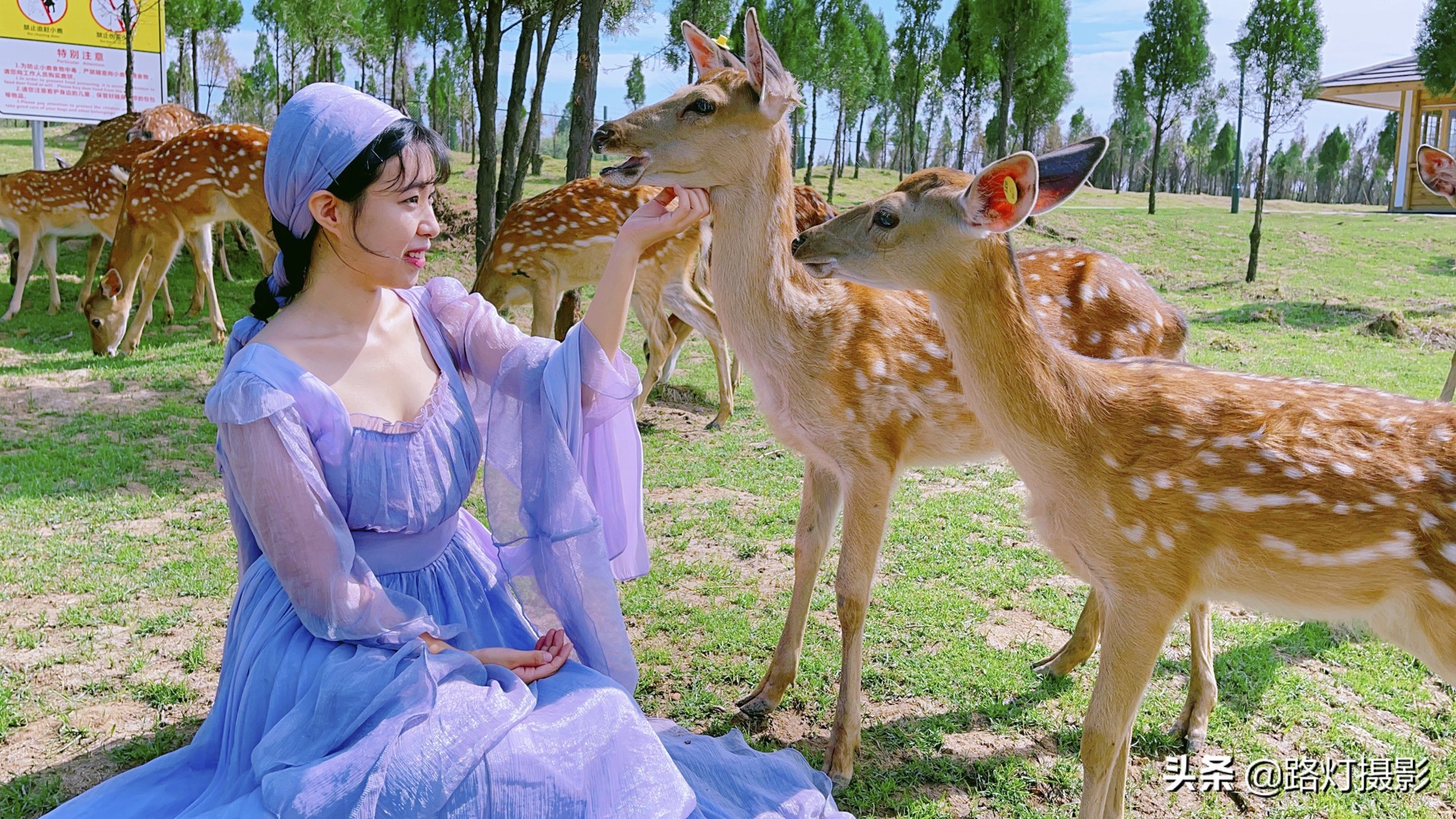 又凉快又好玩的避暑之地,全国最凉快的避暑胜地