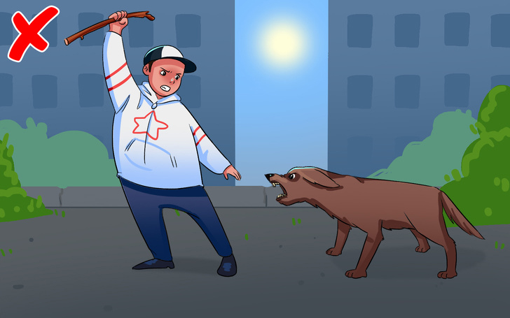 如果被流浪狗咬了怎么办,如果在路上遇见流浪狗怎么处理