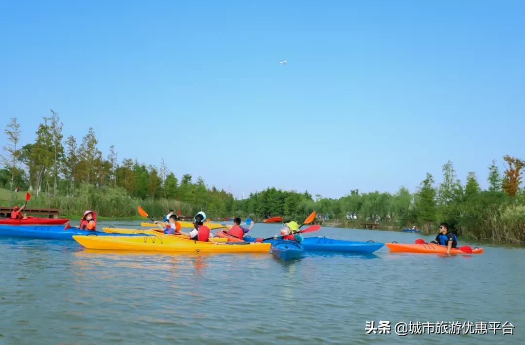 神兽小课堂|蜕变水上勇士，搭乘皮划艇来一场乘风破浪的奇妙旅行