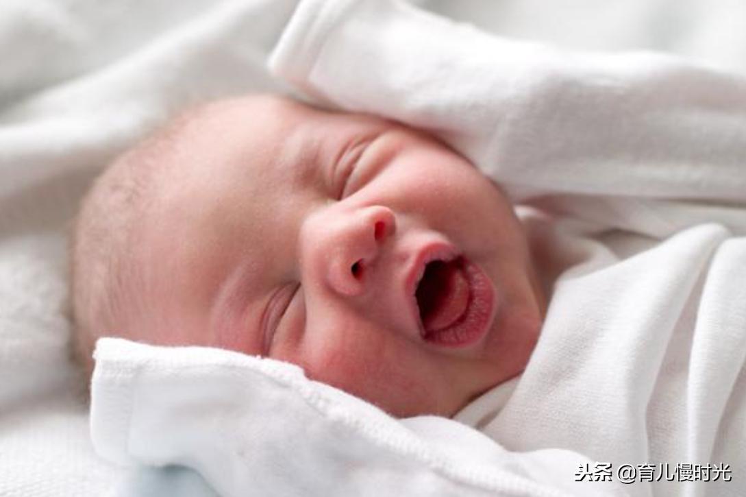 胎宝宝在妈妈肚子发育的全部过程,胎宝宝在妈妈肚子里都在做些什么