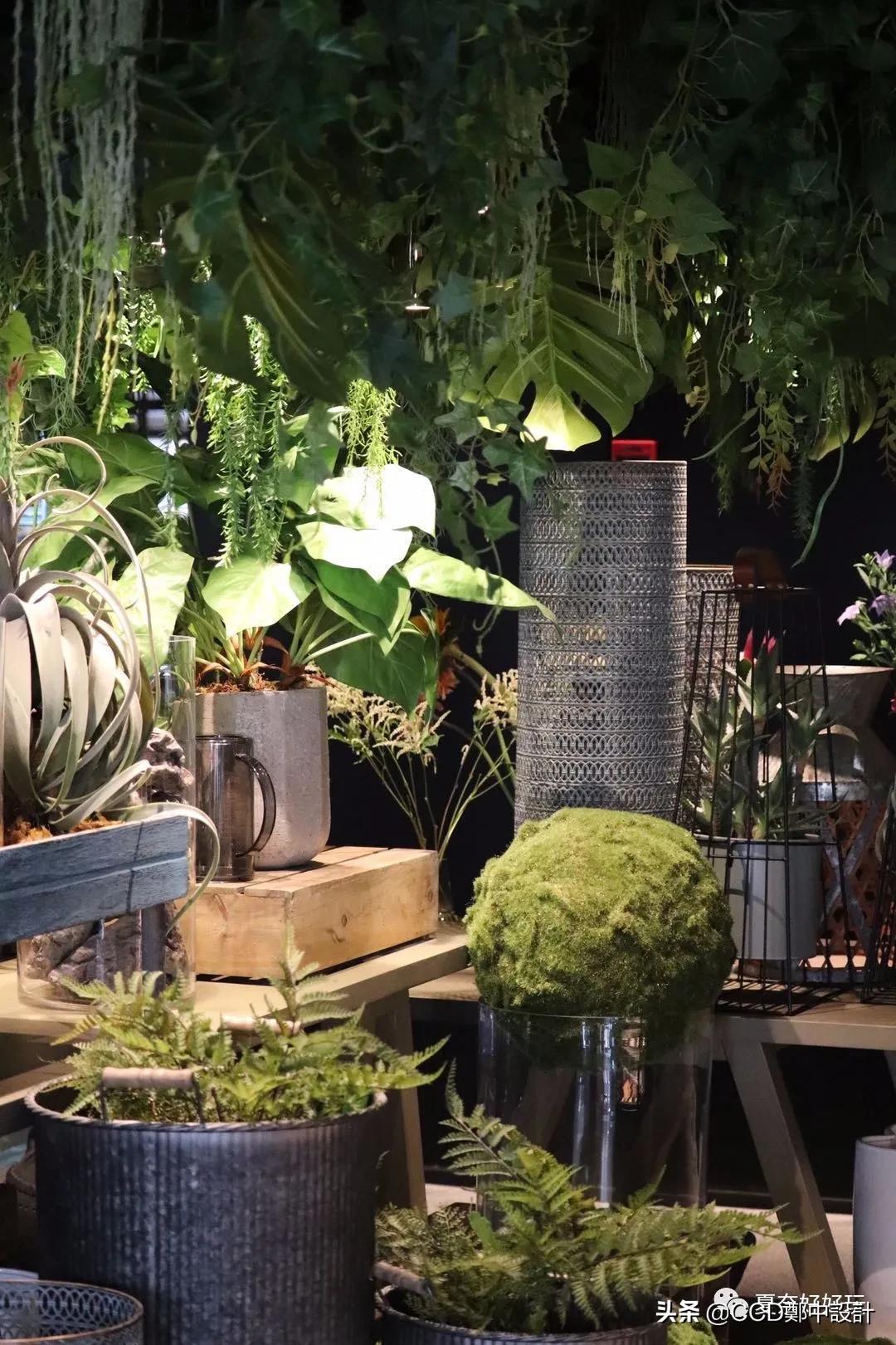 ccd设计的成都哪些酒店,香港ccd设计的酒店