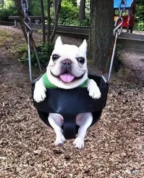 零基础画画怎么起稿更准,0基础画画不知道如何下笔