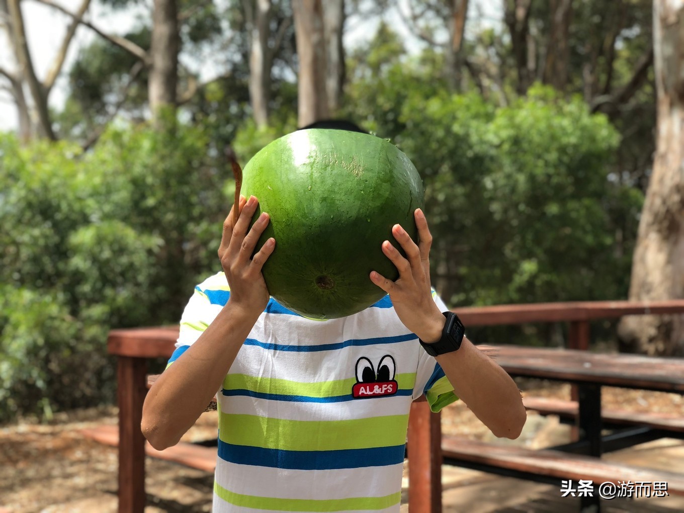 澳洲旅游攻略跟团游,澳洲堪培拉一日游攻略