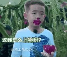 你不知道火龙果的小知识,火龙果的秘密揭秘