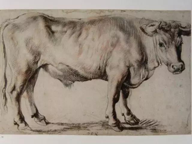 巨匠鲁本斯的素描作品图片,鲁本斯顶级素描