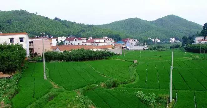 最新！上半年浙江89个县市区实力排名出炉！余杭全省第一