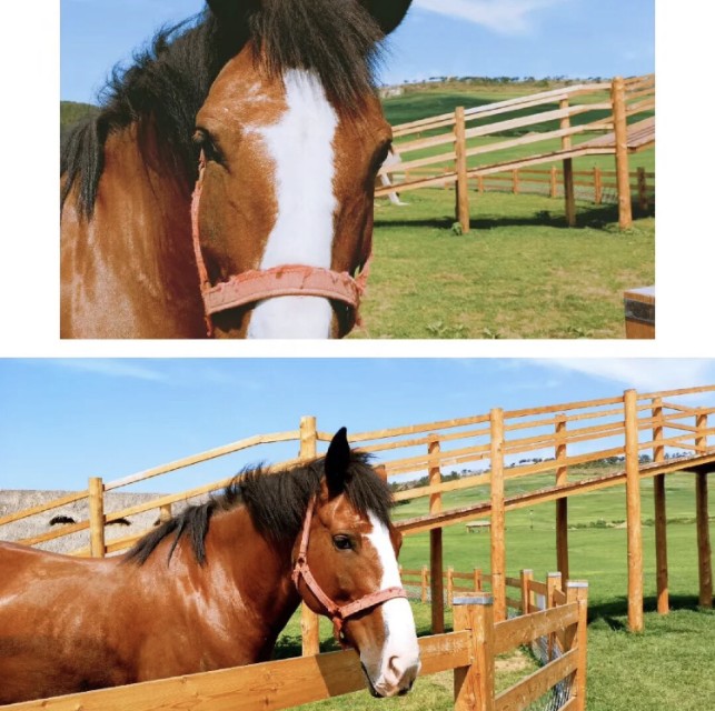 三寰牧场有哪些景点可以玩,三寰牧场亲子露营