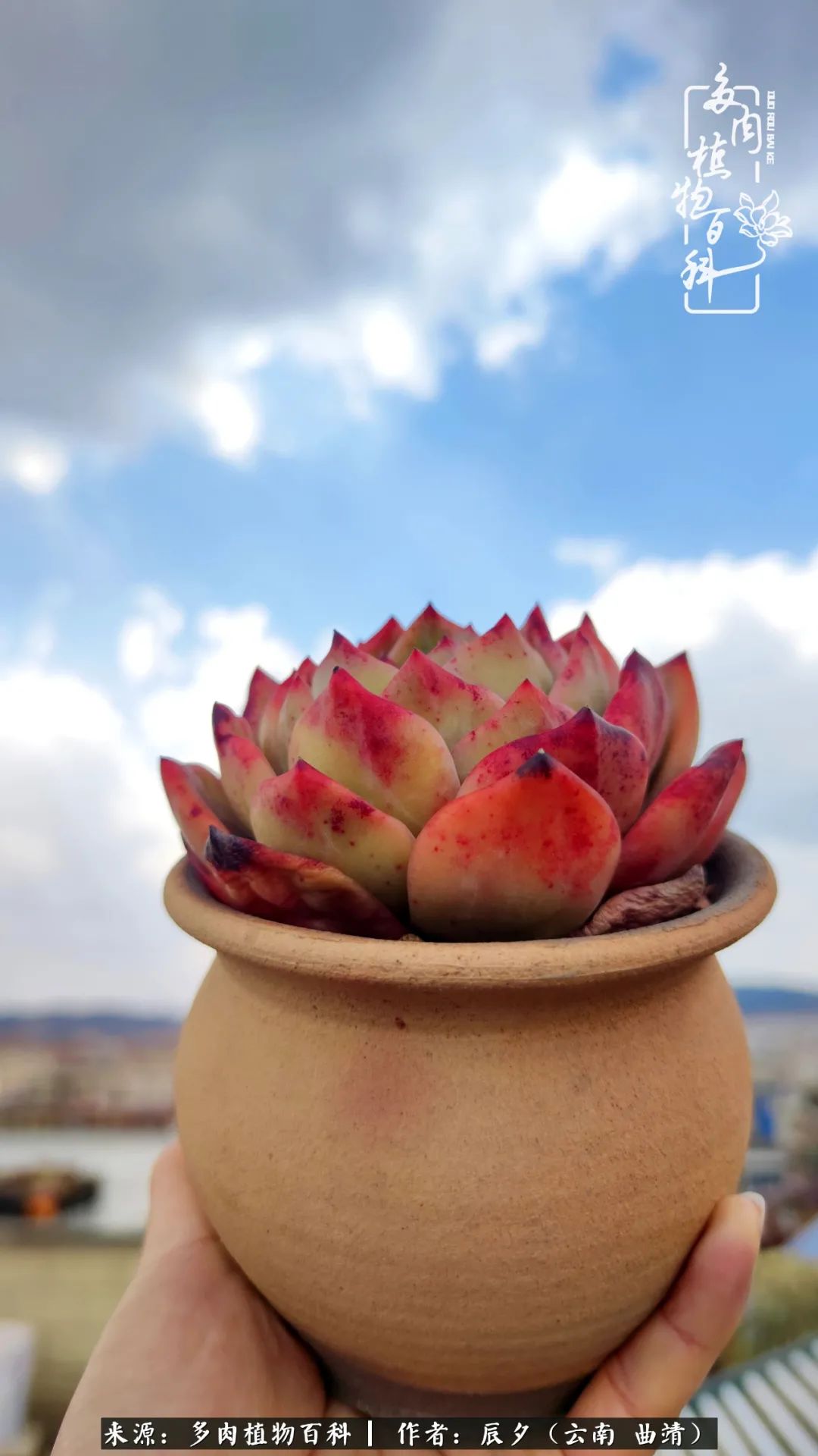 缂辩换鏃栨棊钁宠暏鐢熼,缂辩换鏃栨棊钁宠暏鐢熼鍑哄