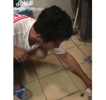 灭蟑螂最好的方法一招解决,蟑螂怎么灭杀最好方法