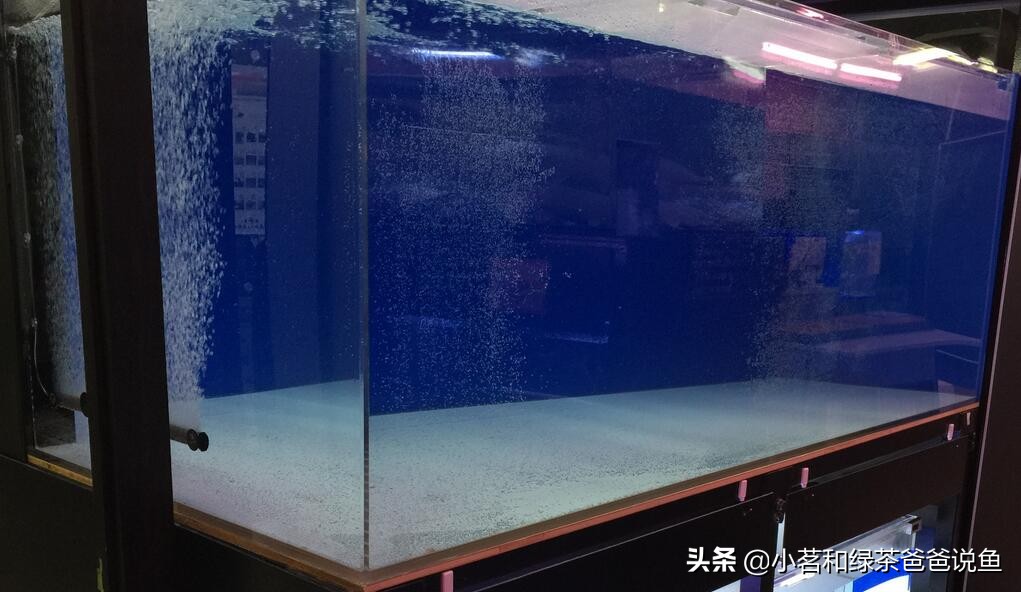 新买鱼缸怎样处理才能养鱼,新买的鱼缸要怎么处理才能养鱼