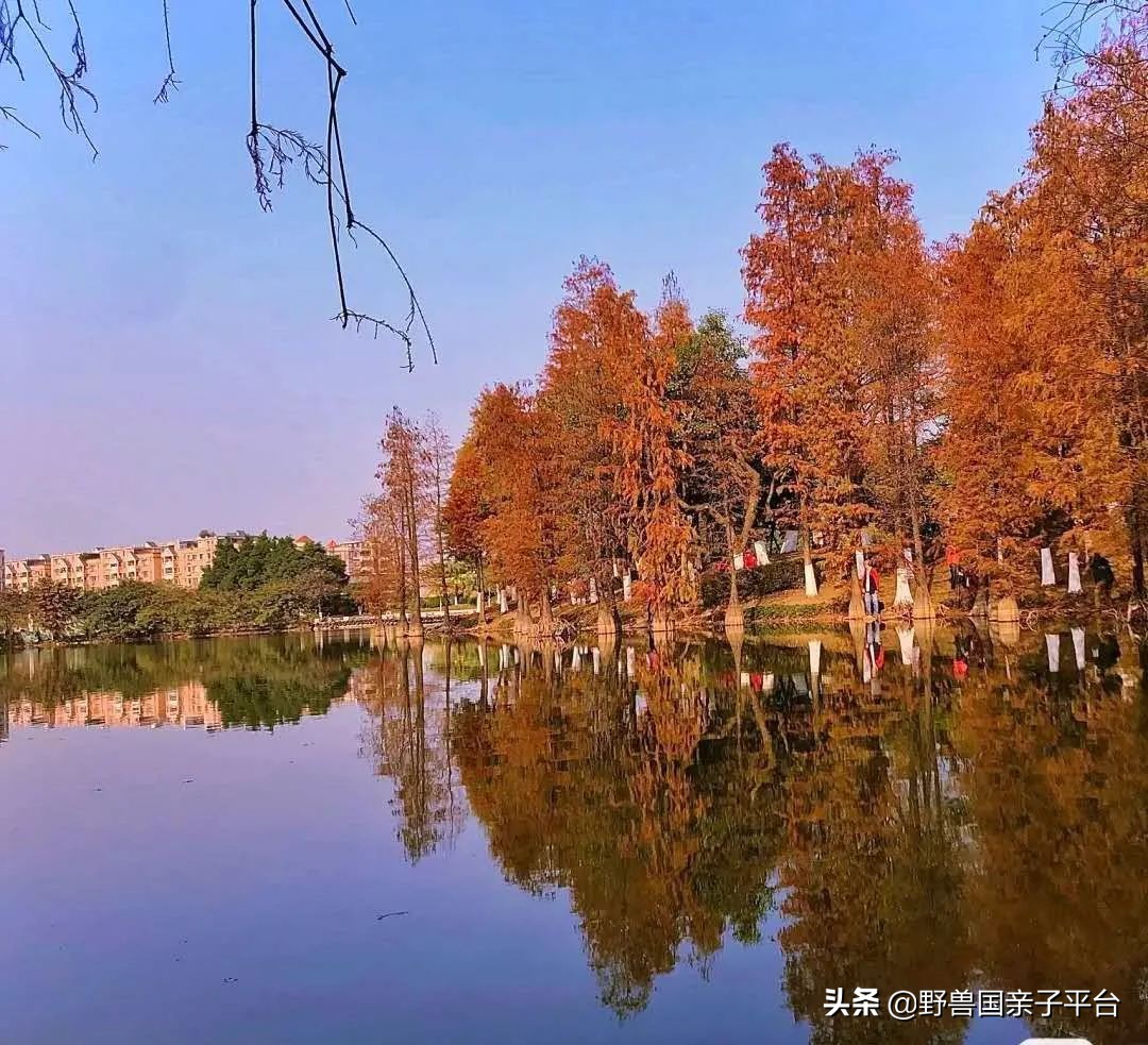 广州遛娃旅游推荐路线攻略,广州遛娃清单升级版