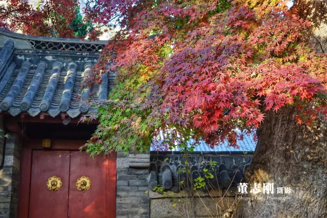 隐藏在浙江深山的神秘千年古寺,中国十大古刹景点