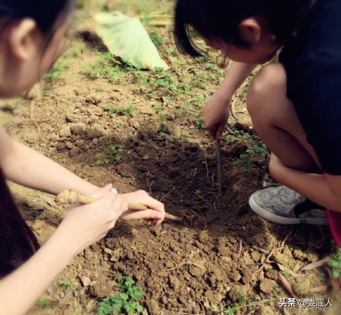 儿时中秋节趣事,中秋节趣事七年级