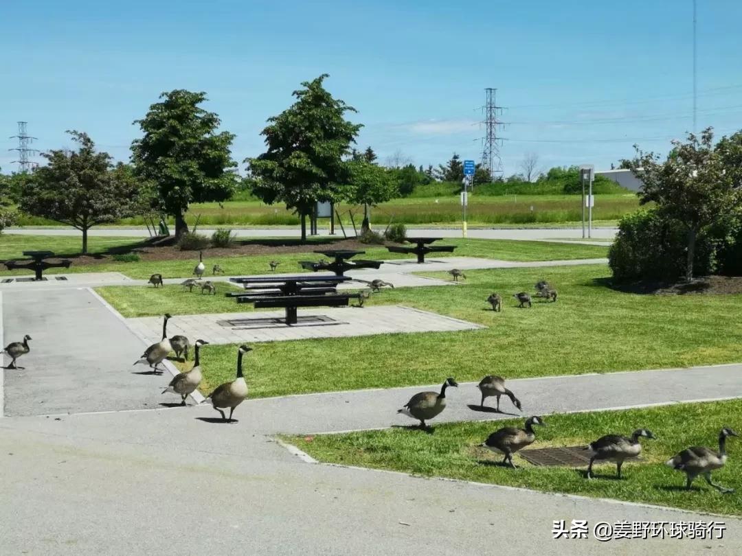 骑行欧亚大陆第四天塔什库尔干,自驾游多伦多