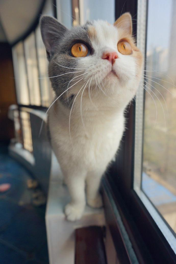 窗户东边开，健康自然来。不看不知道，一看必记牢