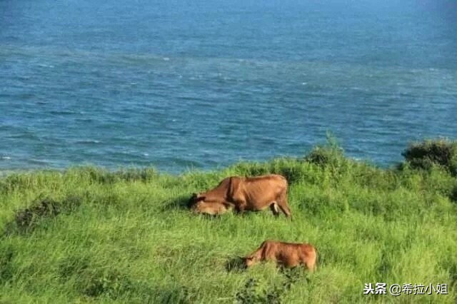 镇海角与火山岛旅游攻略，超详细，纯干货！