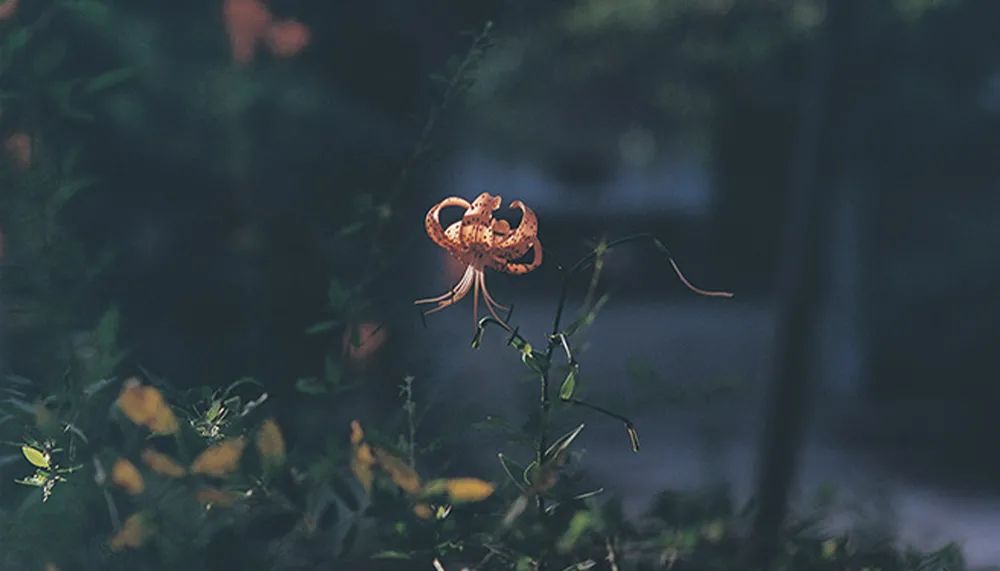 订婚后发现女孩不能生怎么办,当一个女孩订完婚了怎么去挽回