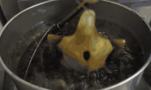 潮汕卤水鹅视频大全,潮汕卤水鹅是什么鹅