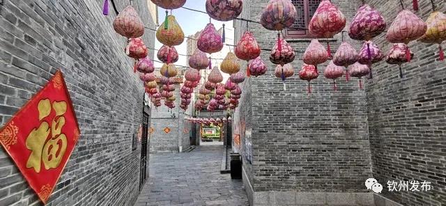 vr直播24小时,vr直播广西