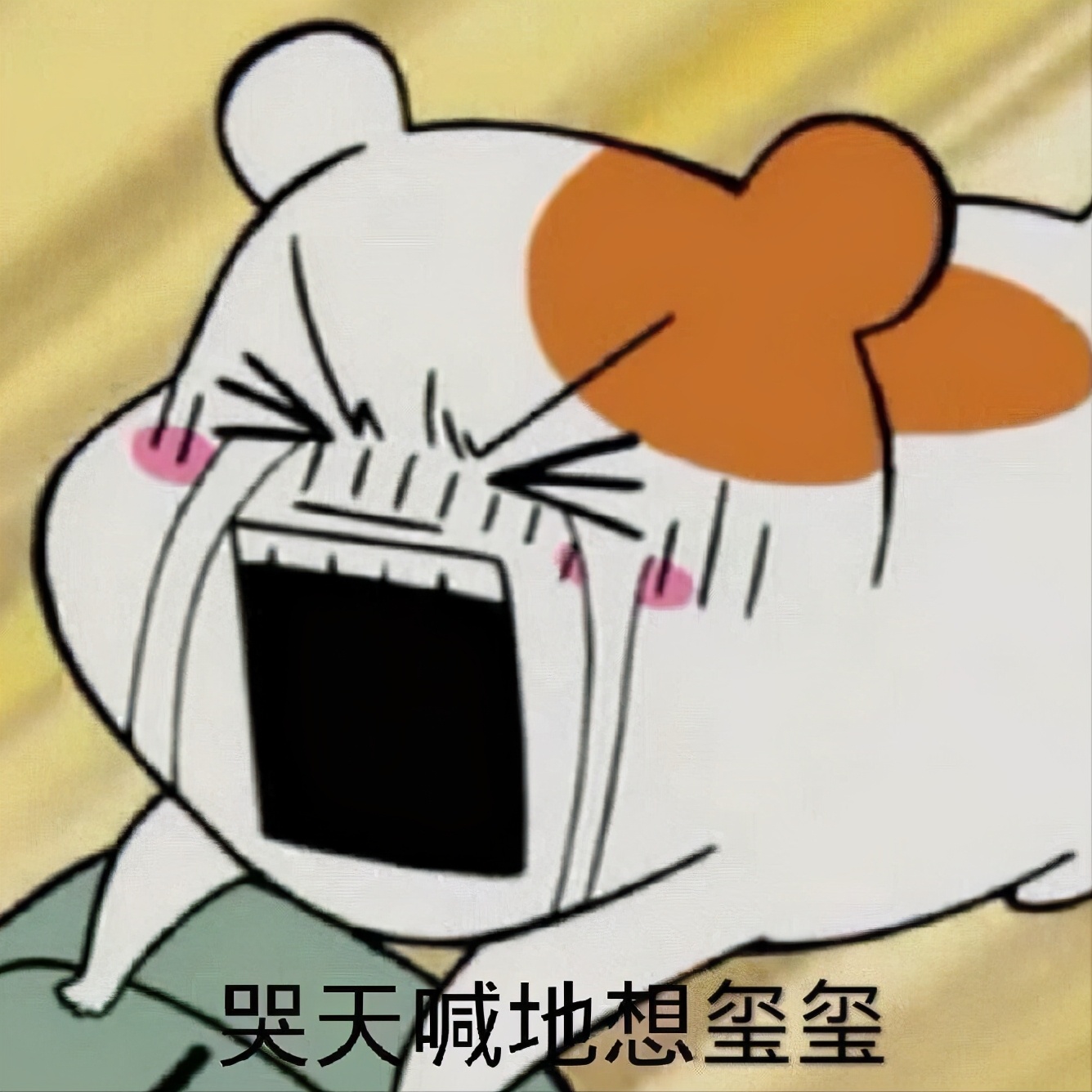 易烊千玺微博超话等级多少,易烊千玺微博超话什么时候开通的