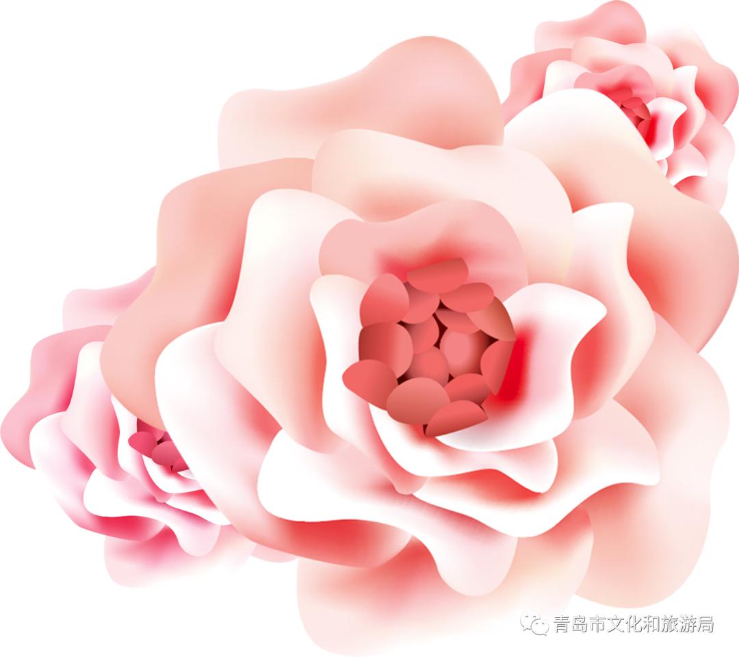 识花赏花学知识,赏花识花学知识