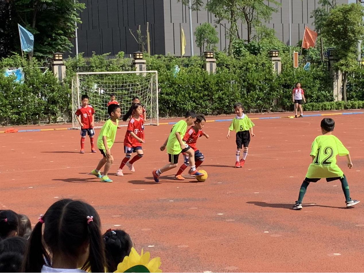 成都市金牛实验行知小学,成都高新区行知小学