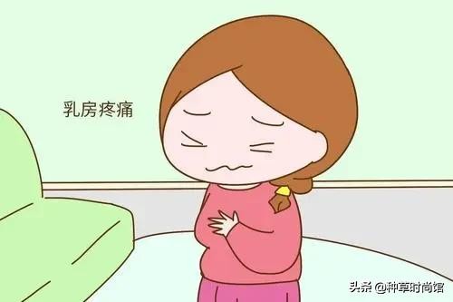 女性胸部知识你知多少,女性胸部知识科普