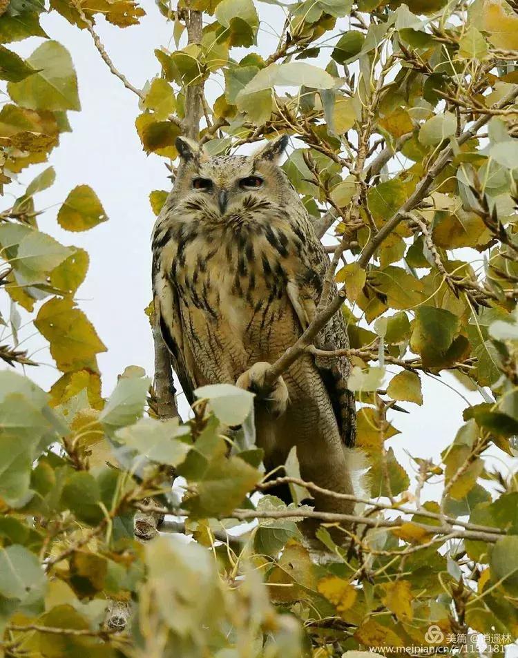 天坛最近发生什么事,北京天坛现在的状况
