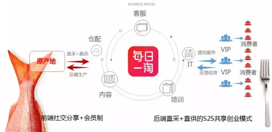每日一淘商业模式思维导图,每日一淘创造价值