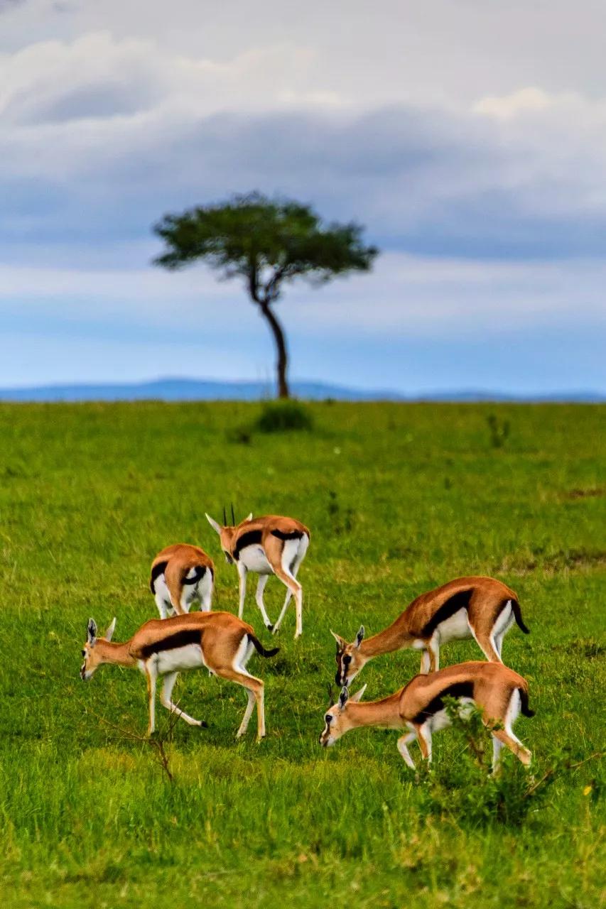 世界那么大,40岁前攒钱也要去的15个地方!千万别等老了再后悔