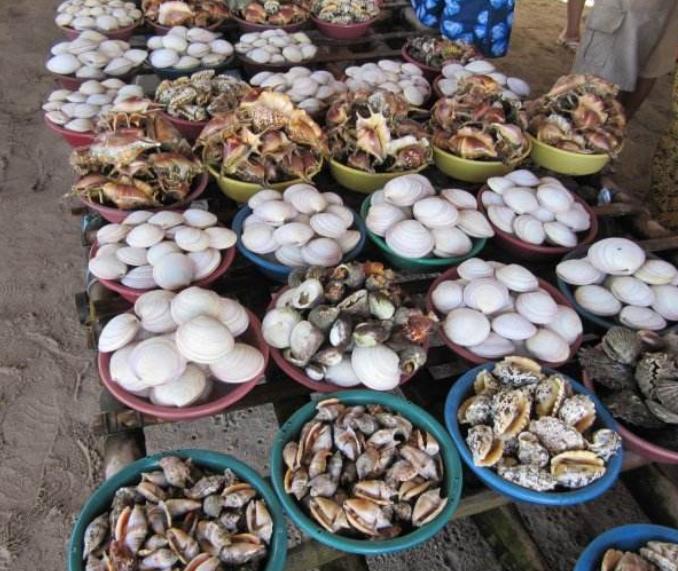 避免拥堵国庆旅游路线,假期省内游避堵攻略