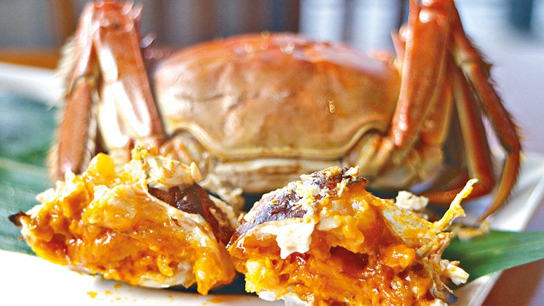 第一次吃梭子蟹,梭子蟹怎么弄着吃才好吃