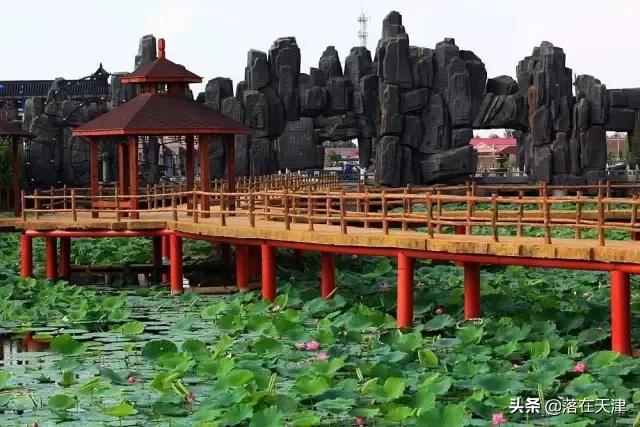 天津郊游免费最佳景点,天津免费开放的景点