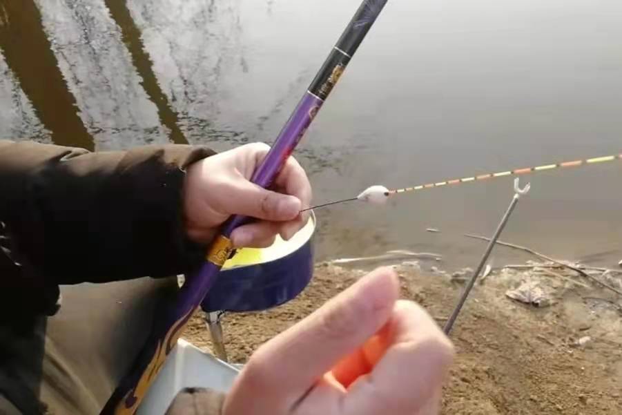 饵料下沉怎么避开小白条,饵料还没落水白条就跟着走