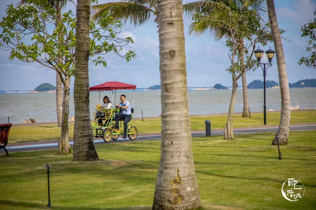 我去了最适合谈恋爱的珠海，回来却还是个单身狗