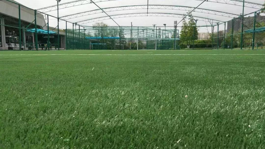 青海笼式足球场地建设,青海体育场馆改造找哪家