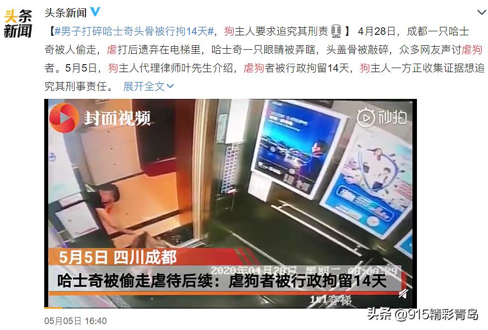 虐猫人士杀死中国留学生案件,虐猫者杀害中国留学生