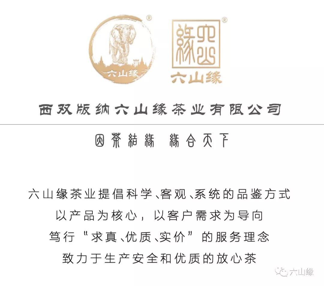 雅而不薄、清而不淡之一一雅韵