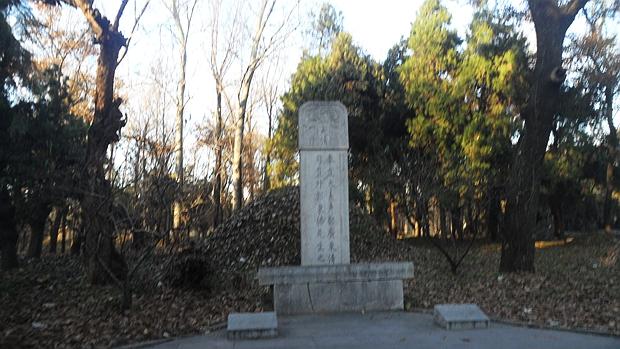 孔林是最大的氏族墓地吗,孔林最大墓葬群