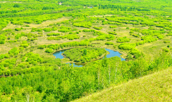 亚洲第一湿地在哪里,内蒙亚洲第一湿地