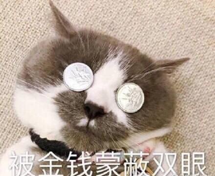 世界历史上的著名猫奴,世界三大猫奴