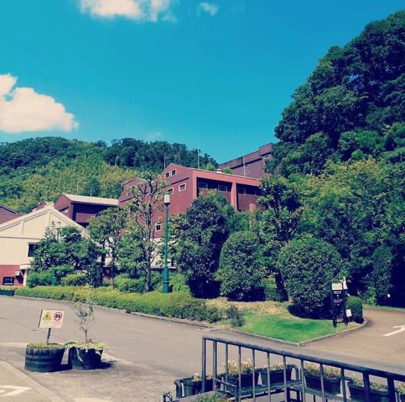 山崎无年份威士忌值得收藏吗,日本威士忌山崎50年