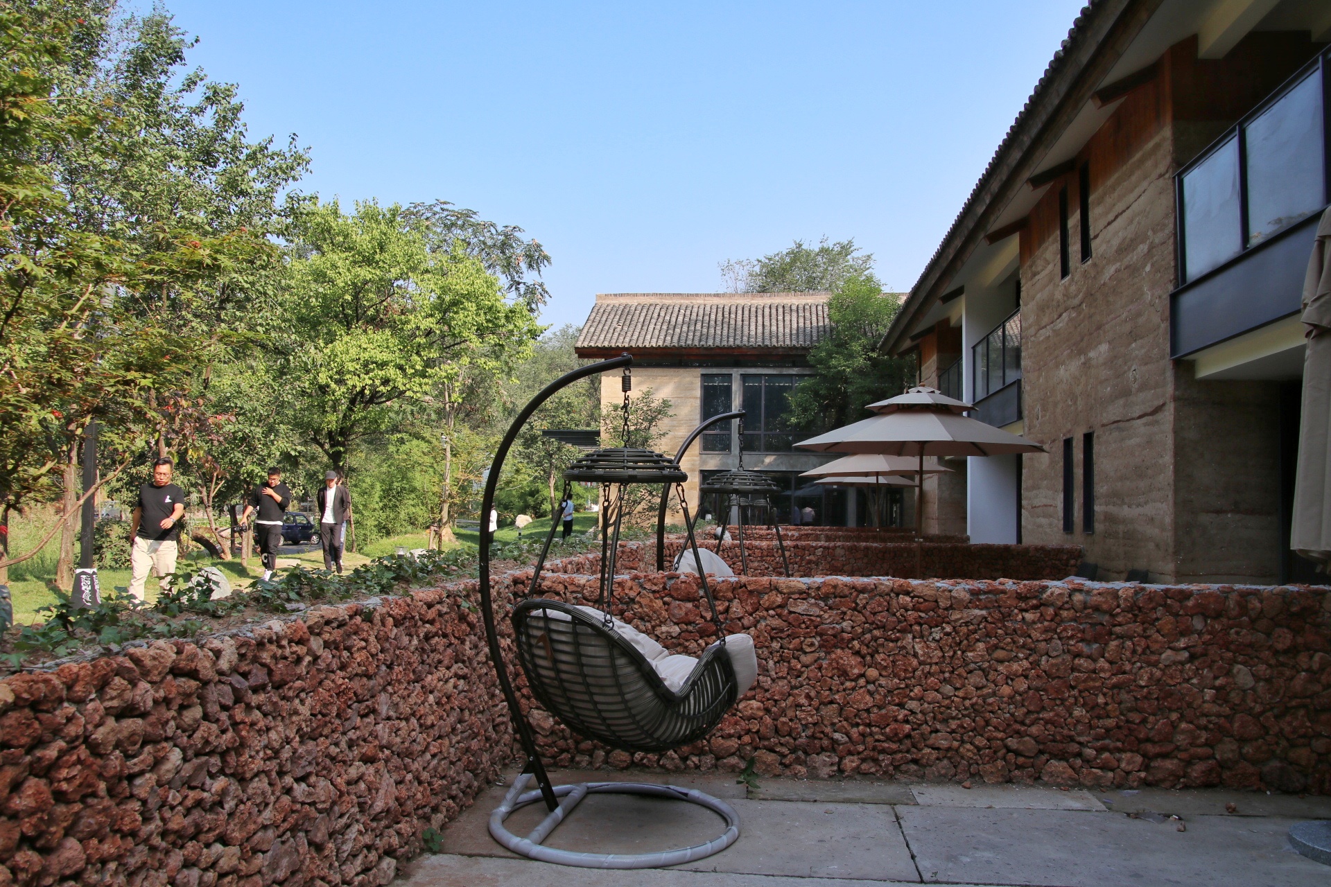 遇见不一样的济源：王屋山赏千年银杏，五龙口观太行猕猴